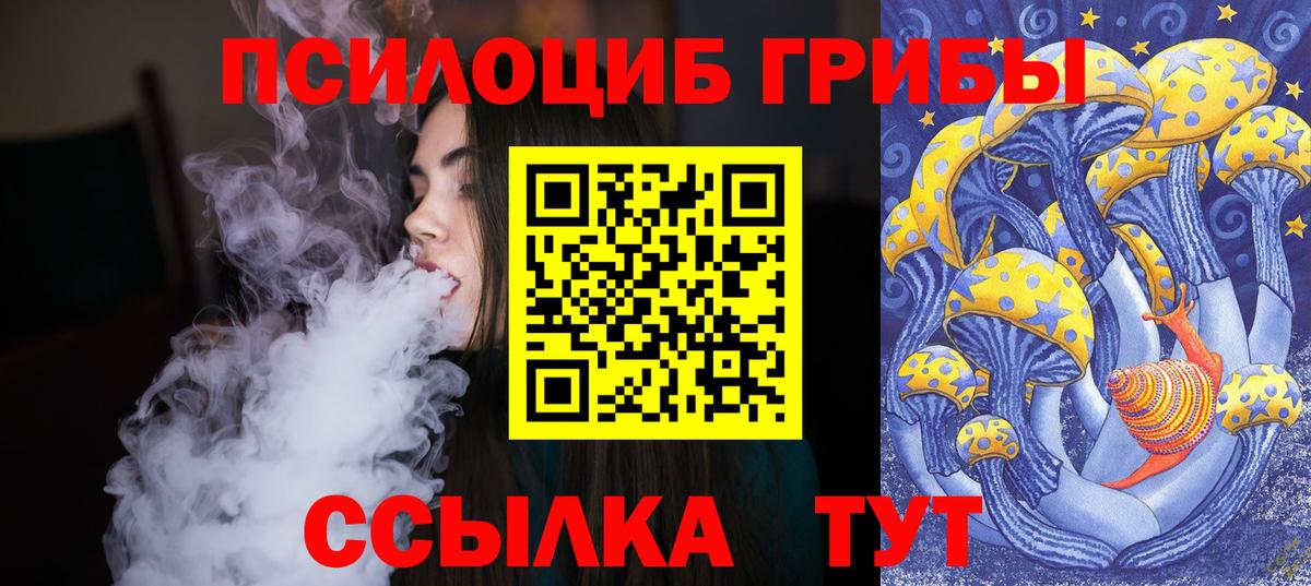 Галлюциногенные грибы GOLDEN TEACHER Электросталь